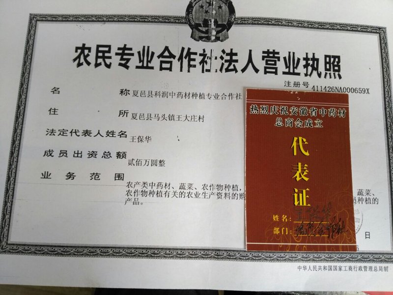 商丘商贸公司的运营之道：如何在竞争中脱颖而出